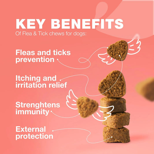Dog Flea And Tick Treatment Chews FleaTick Prevention For Dogs Chewables Natural Dog Flea & Tick Control Soft Treats Immune Support Supplement CANNOT Be Listed For Sale On Amazon