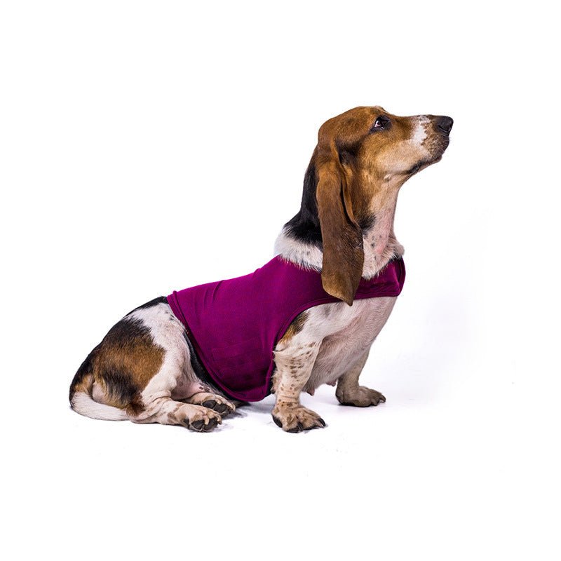 Anxiety Jacket Vest Medical Treatment To Calm Down Cat Clothes
