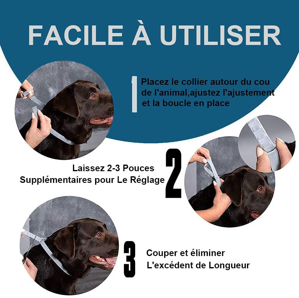 Flea And Anti-lice Cat Flea Preventing Ring Pet In Vitro Insect Repellent Collar Dog Cat Collar Cat Supplies