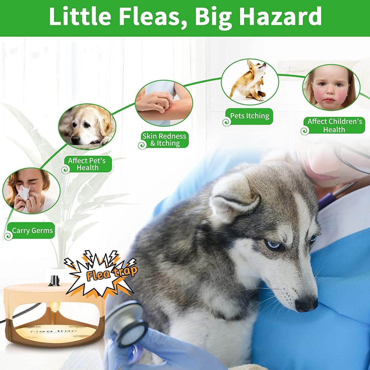 Creative Simple Pet Household Flea Trap