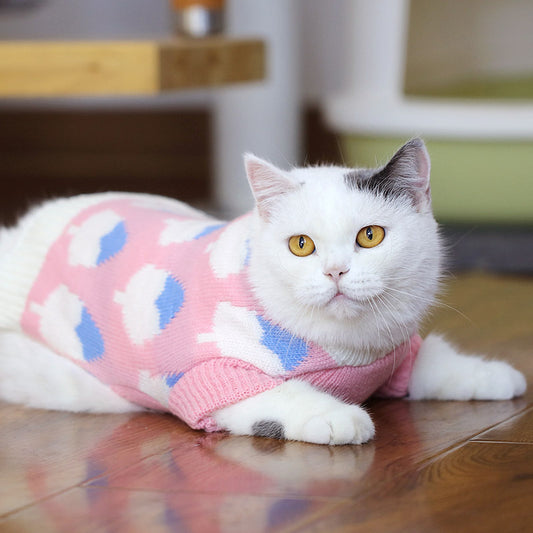 Autumn And Winter Clothes British Short Blue Cat Sweater