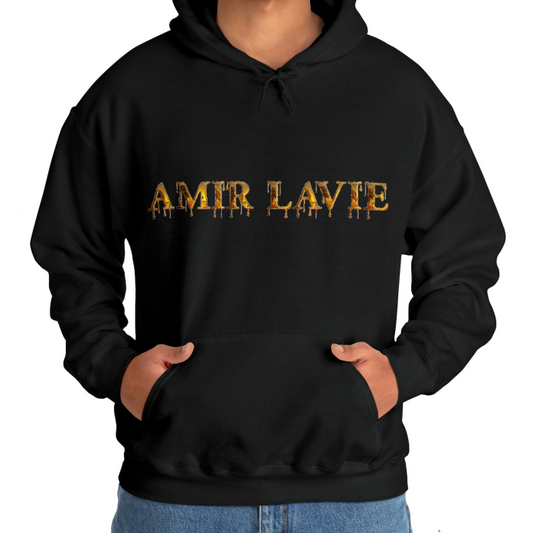 Letter Printing Amir LaVie Velvet Padded Hooded Sweatshirt