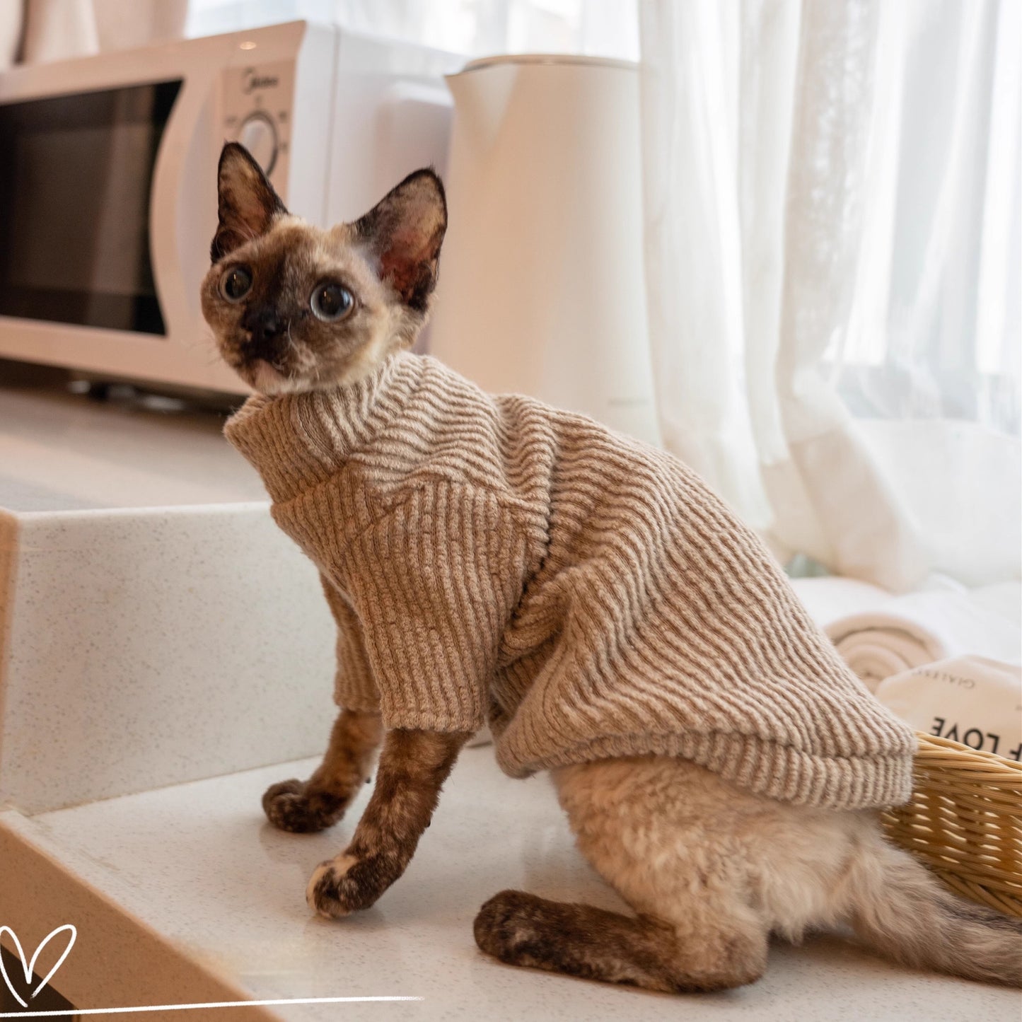 Super Cute Plush Cat Clothes Lambswool Buckle Vest