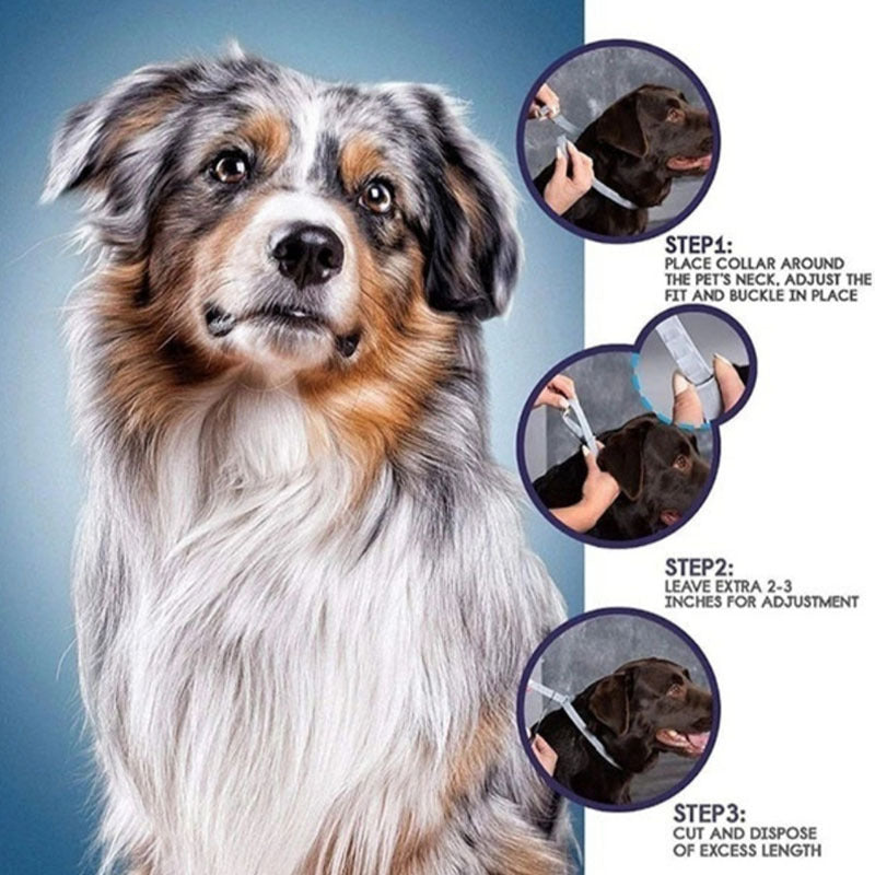 Flea And Anti-lice Cat Flea Preventing Ring Pet In Vitro Insect Repellent Collar Dog Cat Collar Cat Supplies